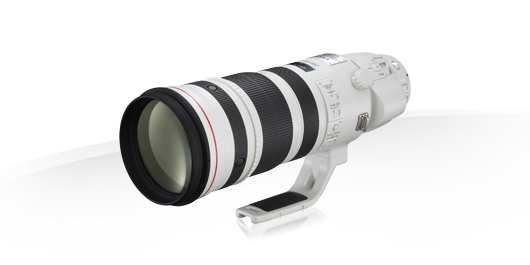 Le zoom EF-200-400mm-L IS USM avec extender 1.4 intégré