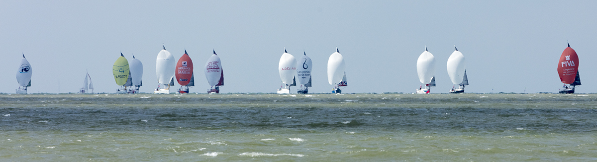 La course au large partie des Sables d'Olonne et qui consiste à effectuer le tour des îles de Ré, d'Yeu et de Belle-île avant de retourner au point de départ, arrive près du pont de l'île de Ré.